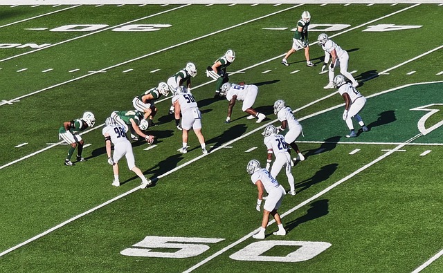 了希望的种 了希望的种