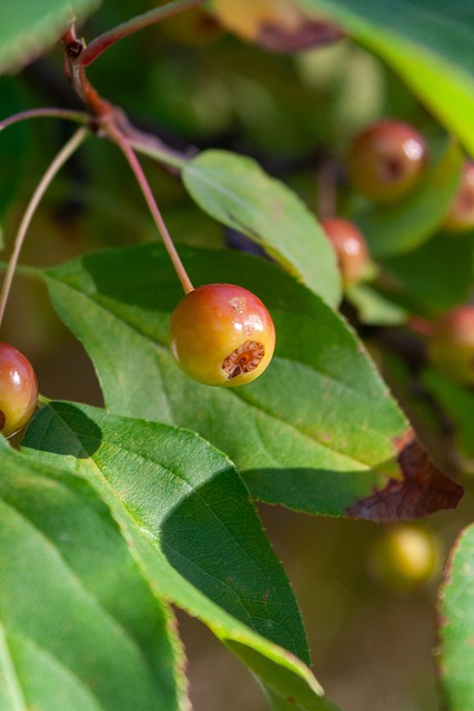 瞩目的德比 瞩目的德比