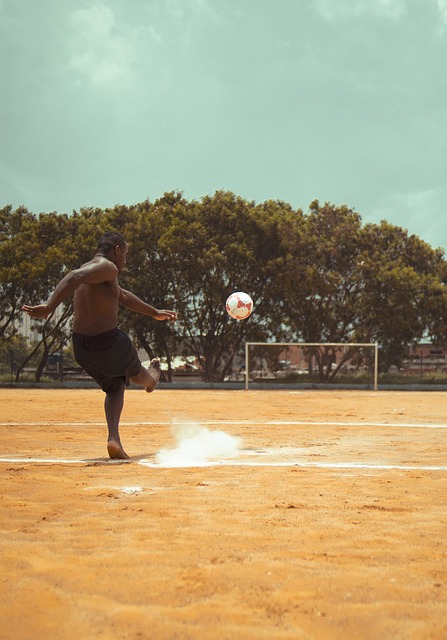 坚韧不拔的 坚韧不拔的