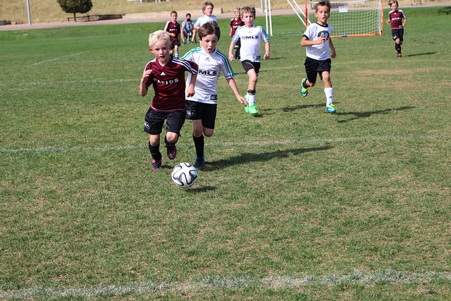 这让波鸿多 这让波鸿多